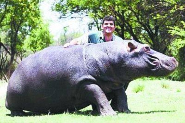 马琳缺席颁奖仪式,背后的原因与影响