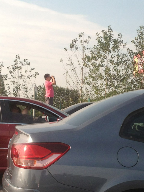 国庆高速遛狗打球,车主的特殊体验
