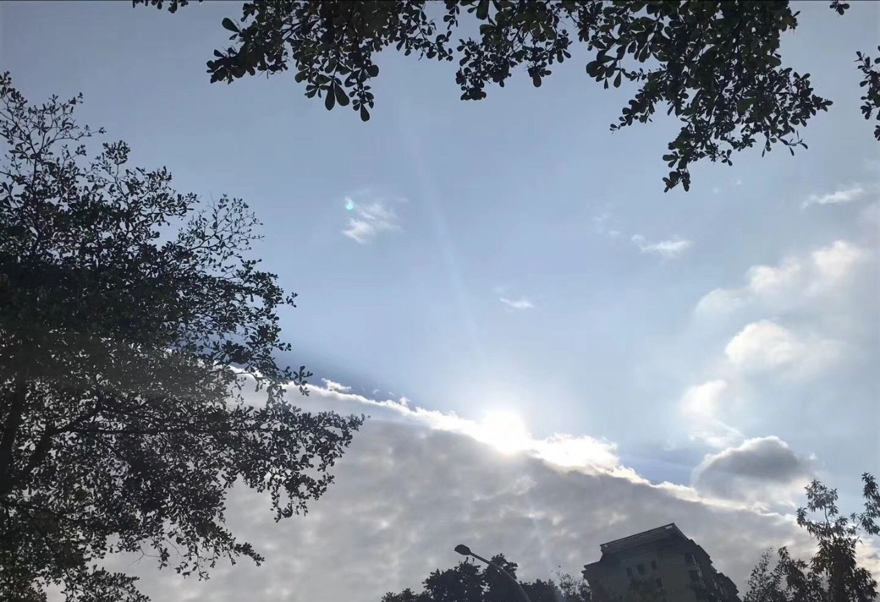 多地遭遇断崖式降温,短袖与羽绒服同框的街头风景