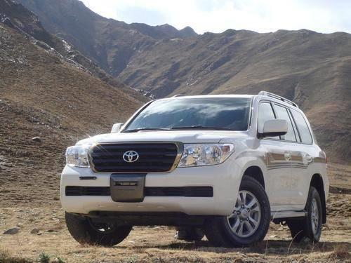 路旁野餐，引发交通堵塞——两人随意停车的后果