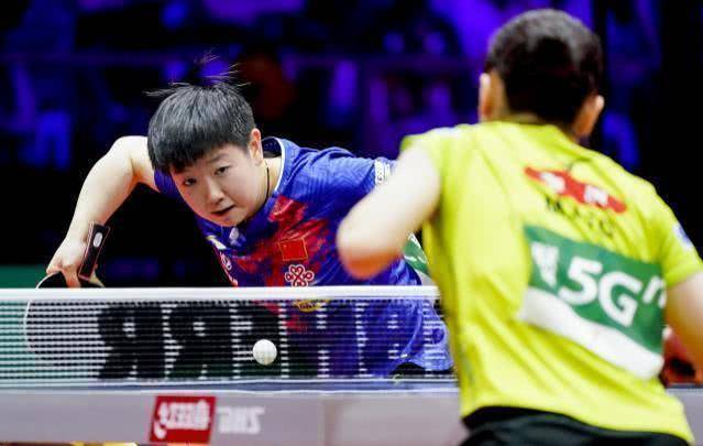 孙颖莎4-0横扫伊藤美诚,强势晋级女单四强