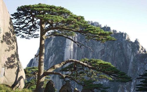 黄山景区暖心行动，护送未预订住宿的游客安全下山