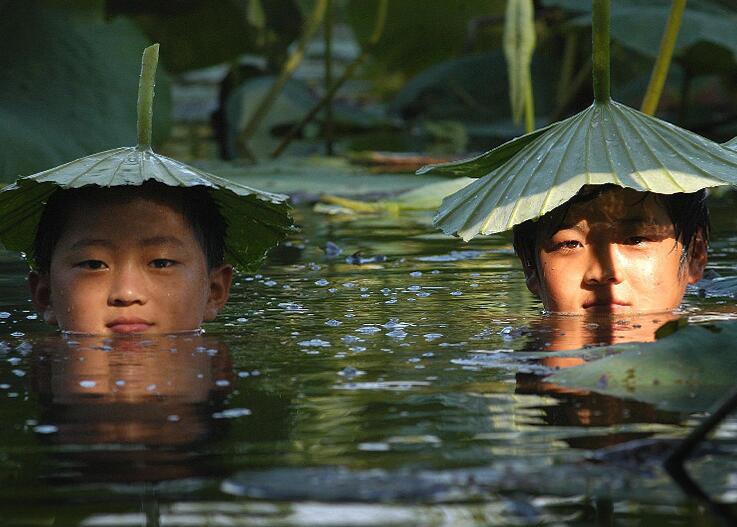 荷叶遮阳,两男子创意防晒新法