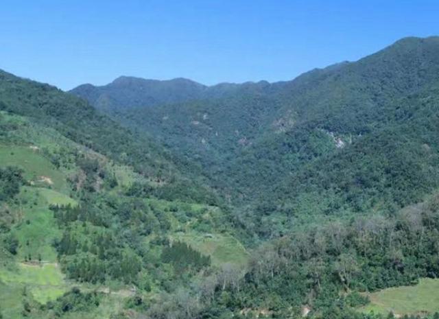 专家解读哀牢山为何成为禁区