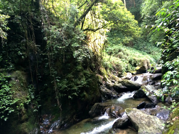 哀牢山之行,怀敬畏之心,感悟自然之韵