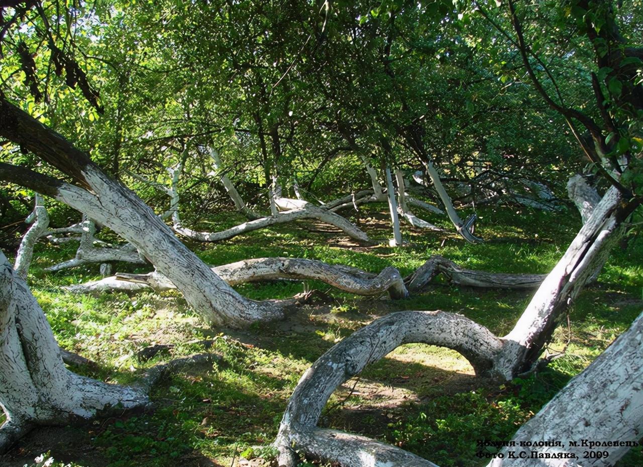 时代峰峻噪声超标,问题、影响与解决方案