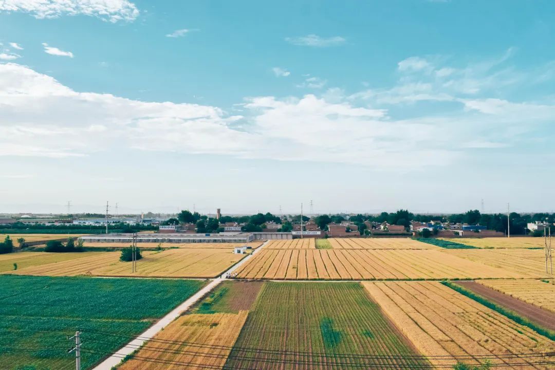 希望的田野上，一片好丰光