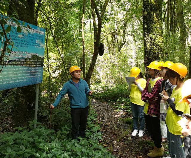 哀牢山，现实版云南虫谷的探索与发现