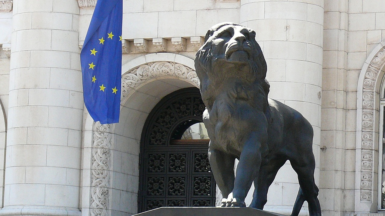 宠物狗伤人事件赔偿12万，责任与后果的深思